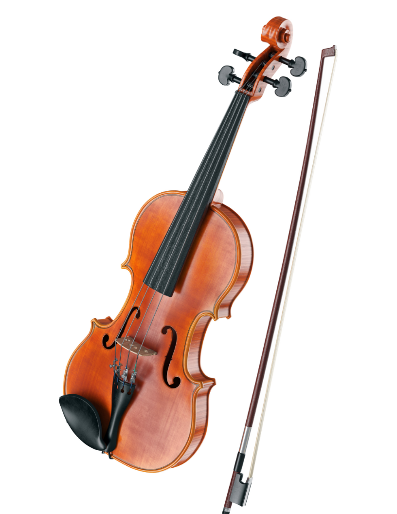 Viola